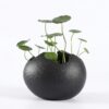 eggshell ceramic planter