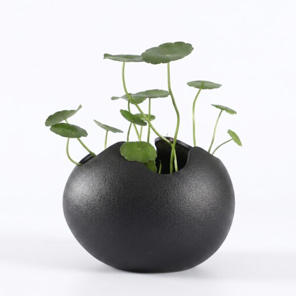 eggshell ceramic planter