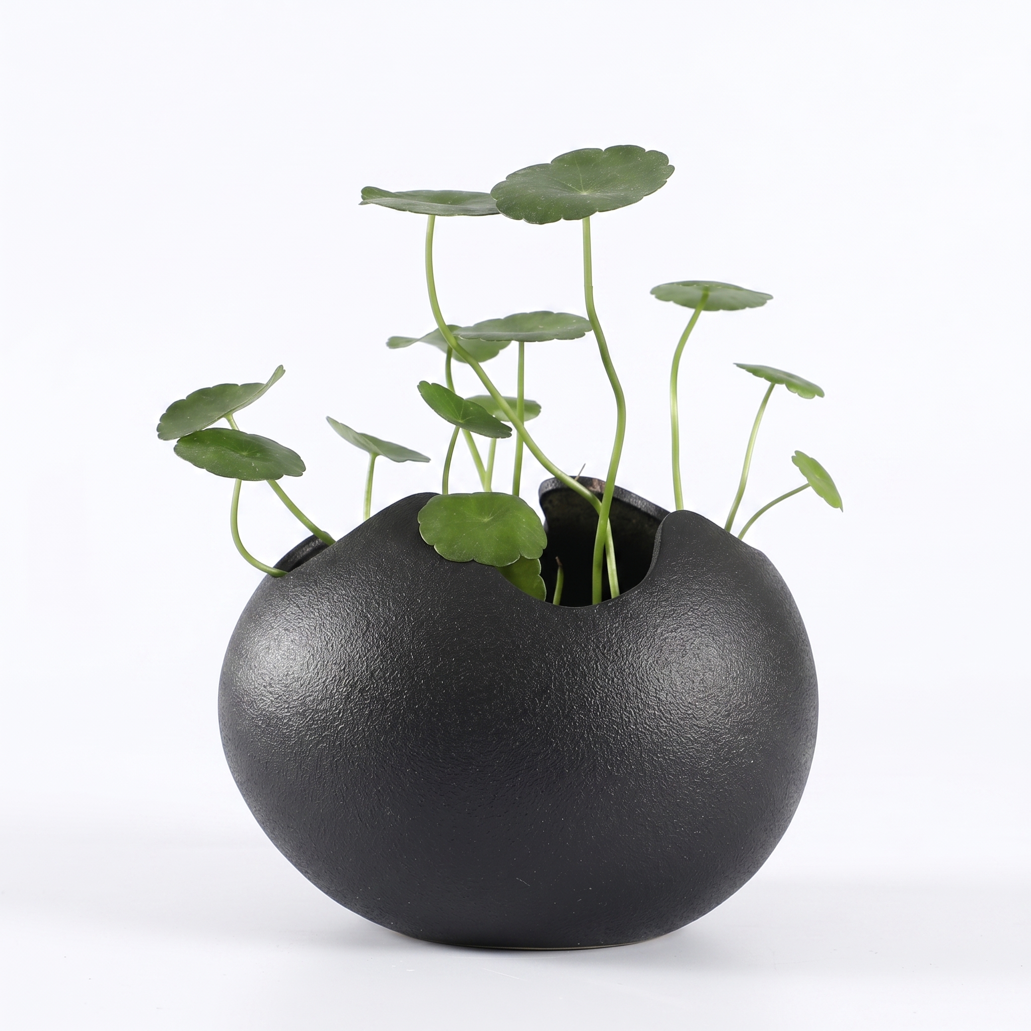eggshell ceramic planter