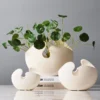 S34c2e01055394d2ea507b5e2c55b16a0u.webp Geometric Eggshell Ceramic Vase